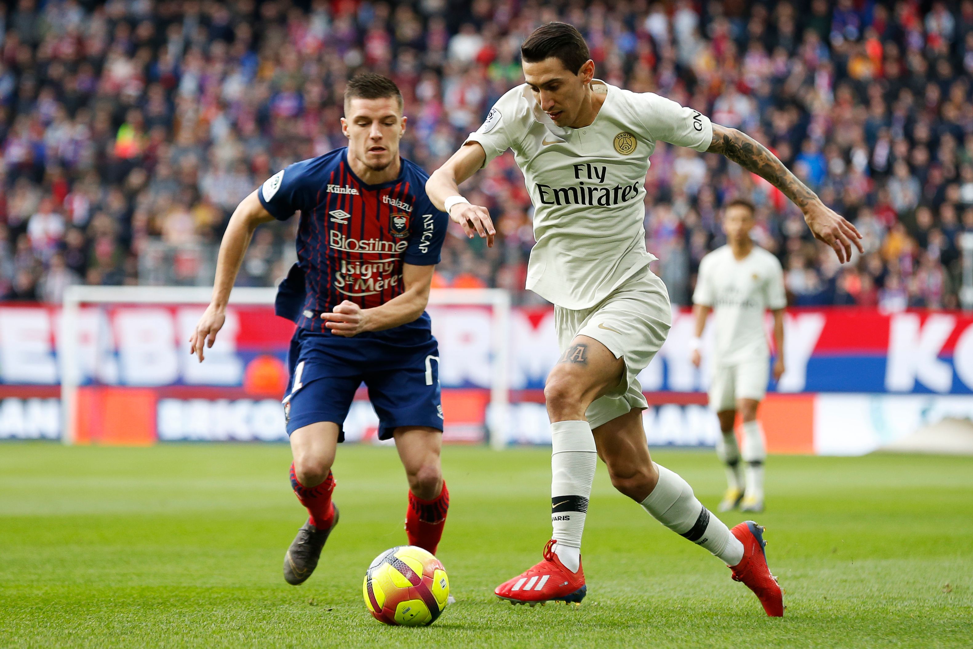 森林主帅：英超比欧联杯更重要，但我们也很重视欧联杯（森林主帅：英超更为关键，我们也不会轻视欧联杯）